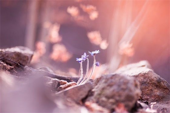 家喻户晓的刘亦菲原来只是艺名，刘亦菲小名叫qian还是xi