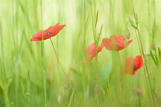 男孩名字大全：时尚的男孩名字大全