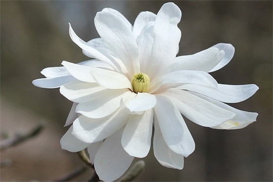 虎宝宝取名字最佳字男：响亮大气的男孩名字推荐