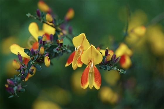 梁姓简单大气男孩名字