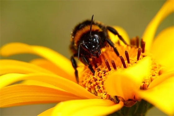 李姓五行缺火土的女孩名字大全
