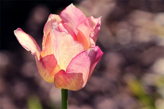 年寓意好且响亮的男孩名字，响亮名字这样取