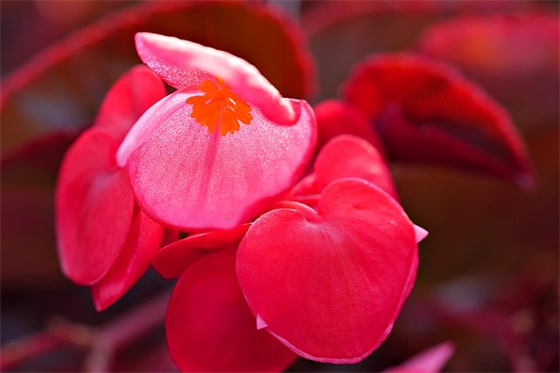 2025牛年男宝宝最佳取名大集合