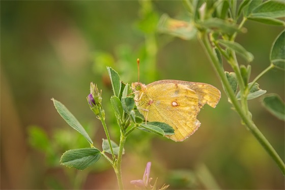 男宝宝独特高冷的名字，寓意温润如玉