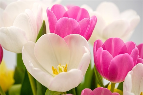 四点底的字-四点底吉利的字