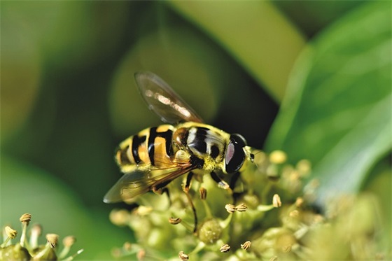 小名乳名大全：最潮宝宝小名大全