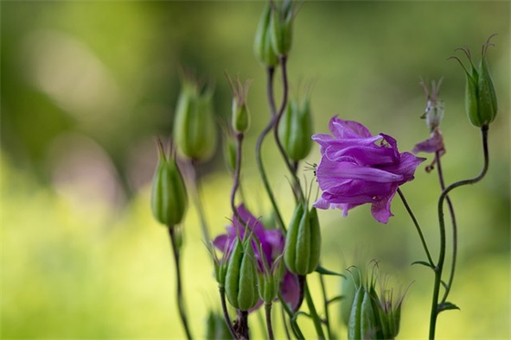 2025年2月出生的宝宝取名