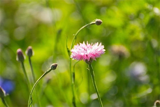 霸气的吴姓宝宝名字大全