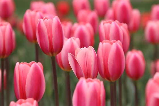 有内涵的覃姓女孩名字大全