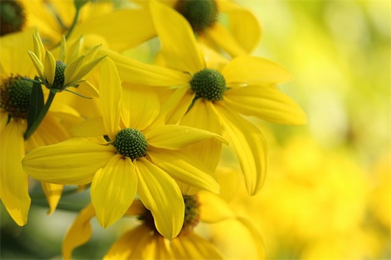 年儒雅大气的男孩名字大全