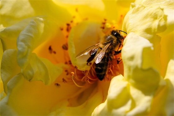 起名改名：2025潮流娇气的小孩乳名