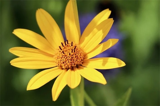 宝宝取名 | 路姓女孩名字大全