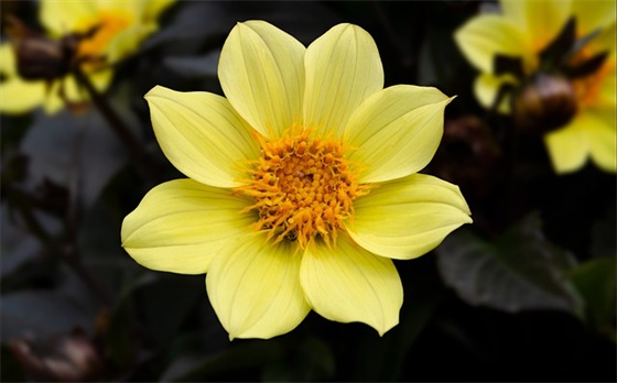 取名字大全：磅礴大气的男孩名字