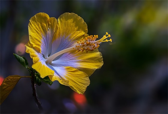 范姓男孩名字大全_姓范的男孩名字_范姓男宝宝怎么起名