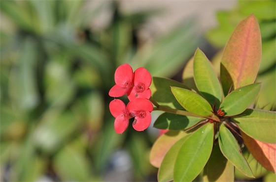 男孩名字大全：好听的史姓男孩名字大全