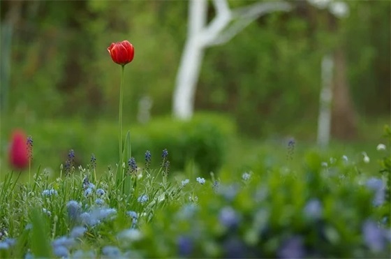 2025年八月份出生的宝宝小名 好听好记 大吉大利