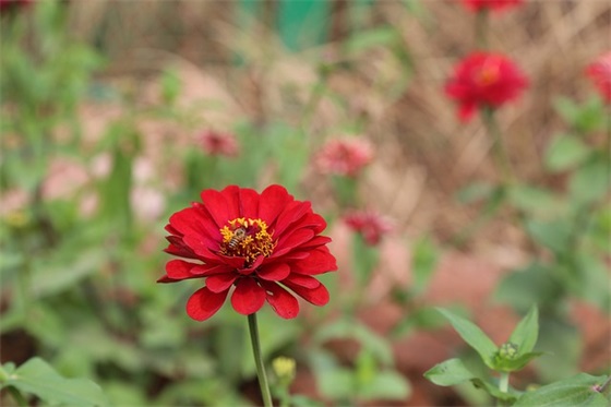 古代温润如玉的女孩名字