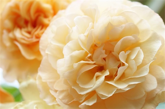 文氏宝宝小名男孩（给宝宝起名的六种方法）