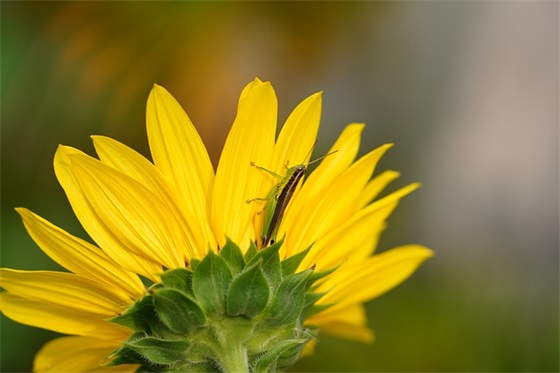 周姓男孩名字大全_姓周的男孩名字_周姓男孩起名