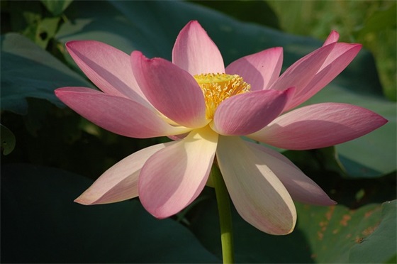 2025宝宝取名有讲究，快为家里的宝贝转起来！