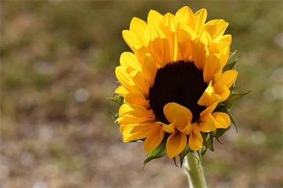 姓魏的男孩名字起名禁忌