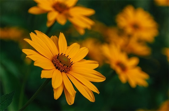 信字辈的男孩名字