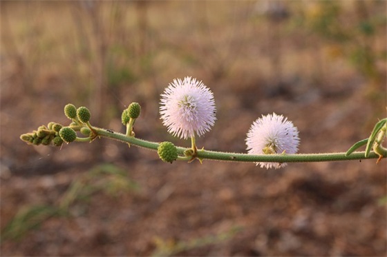 24年龙宝宝取名哪些字最好