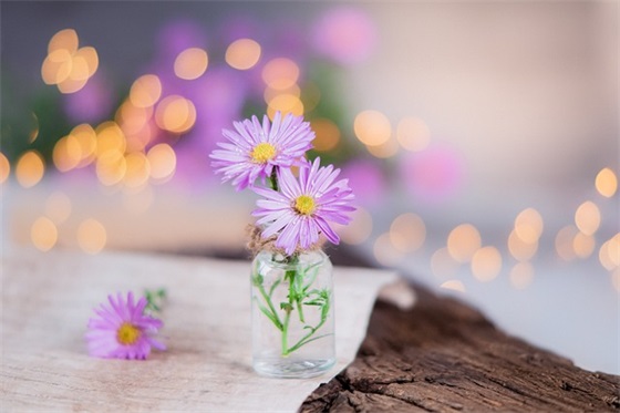 百家姓起名大全：徐姓女孩名字大全