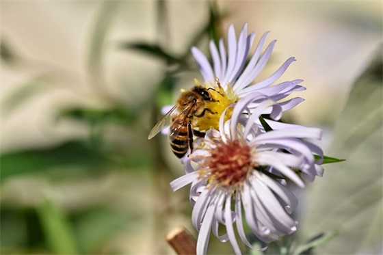 2025年寓意好且响亮的男孩名字，响亮名字这样取