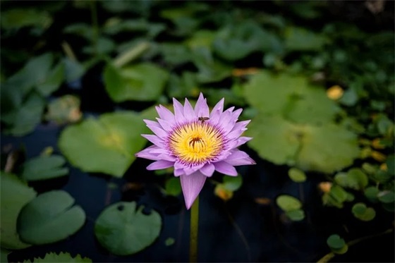 罕见好听的古风男姓名,男孩诗意有涵养的名字
