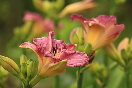 男孩名字 优秀汉字参考（带解释）