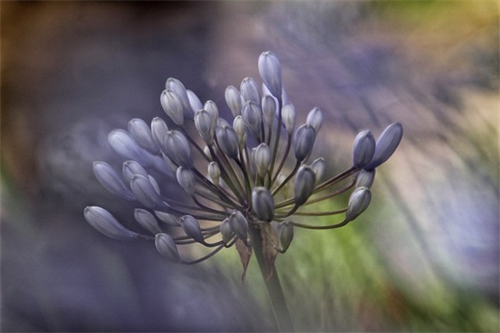 2025姓林的男宝宝起名方法