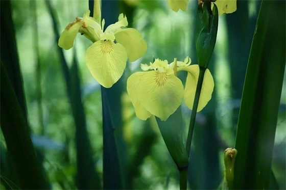 大学毕业祝福的话