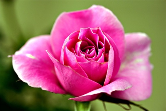 小朋友生日文案大全(给小朋友的生日祝福文案)