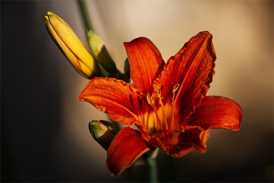 对宝贝六一的祝福语57句