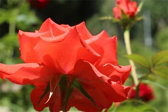 2025年新年聚会祝福语59句