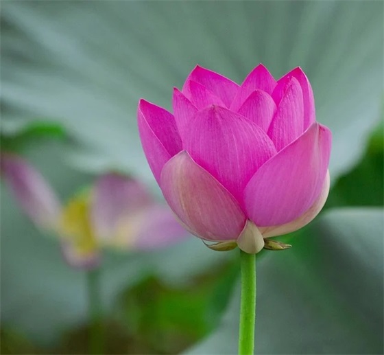 2025年同学会祝福语61句