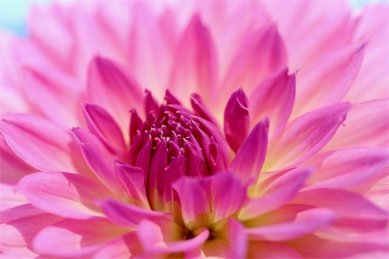 英文祝福语爱情114句