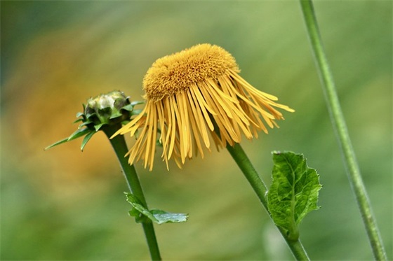 二十岁生日的祝福文案 二十岁生日短句