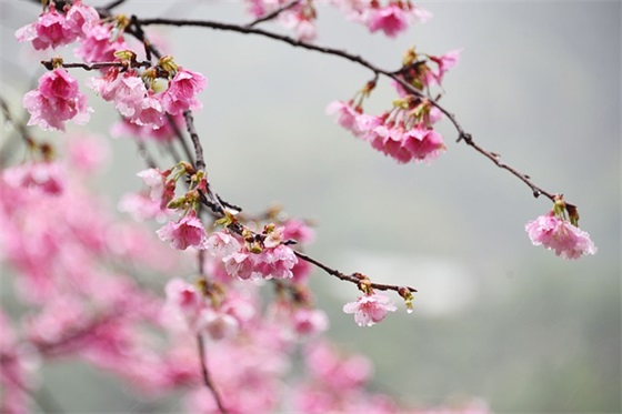 2025腊八节节日祝福语句子(腊八节祝福语简短10字)