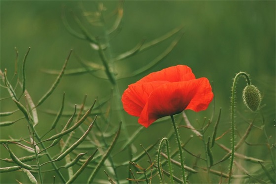 考研上岸文案简短(考研励志祝福文案简短)