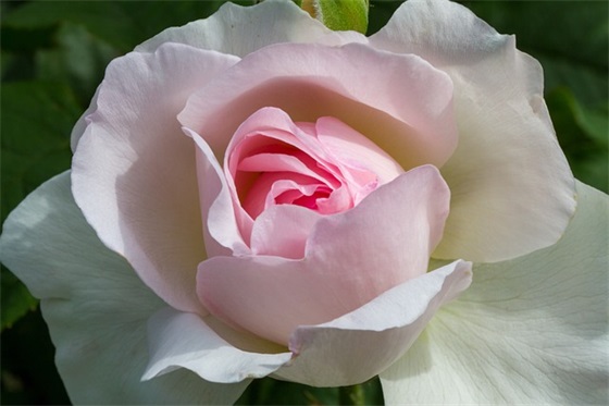 关于高考加油的文案(为高考生加油的祝福文案)