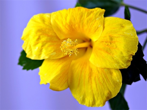 愚人节快乐的经典祝福语