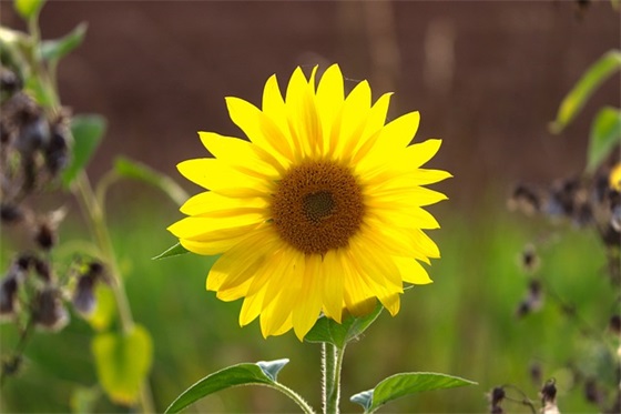 劳动节祝福语大全简短好句2025精选