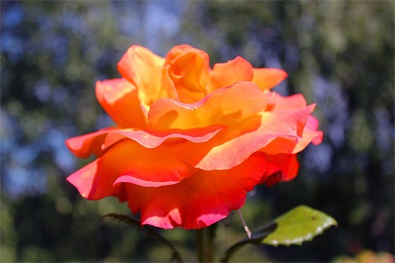 婚礼led屏祝福语102句