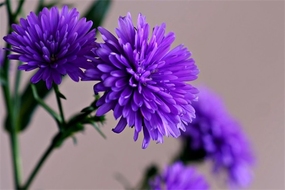 六月你好温馨祝福语