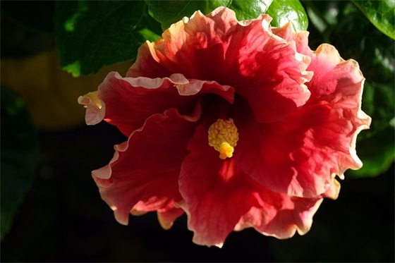 晚安问候语及关心话,给朋友带去最美好的晚安祝福