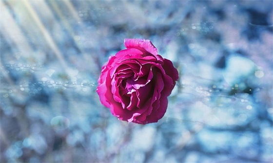 姐姐结婚祝福语特别的 闺蜜结婚祝福语特别的