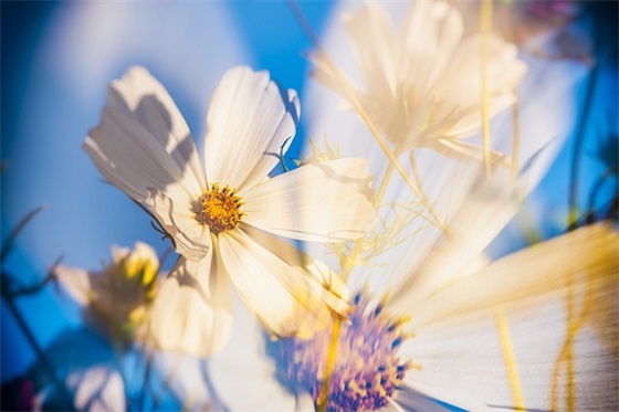 八一建军节周年送亲友祝福语