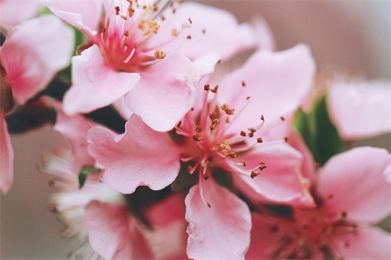 七月大暑祝福语简短